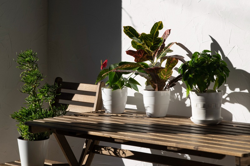 Teak Garden Patio Outdoor Furniture